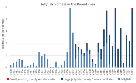 Figure 5.3.3.4. Total biomass of jellyfish in the Barents Sea in August-September 1980-2023. Large jellyfish were dominating by C. capillata, small jellyfish dominated by A. aurita, and other jellyfish (found occasionally). Biomass estimates in 2018, 2020 and 2022 were underestimated due to lack of coverage.