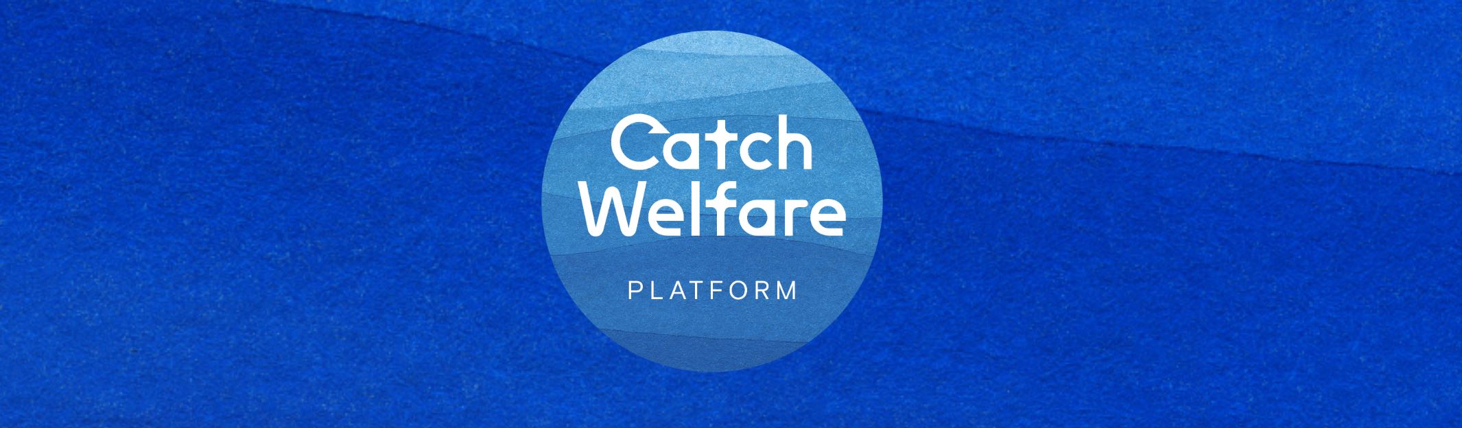The Catch Welfare Platform – a focus on future-proof fisheries - Vimarsana News