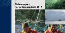 Skjermbilde 2017-07-17 10.41.50.png