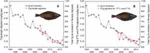 Grafene viser hvordan nedgangen i kvikksølv i blåkveite over tid, korrigert for fiskens lengde (venstre) og diett (høyre), faller sammen med reduserte kvikksølvutslipp.