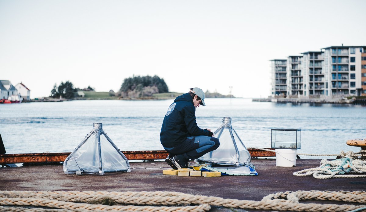 mann med to pyramider på kai