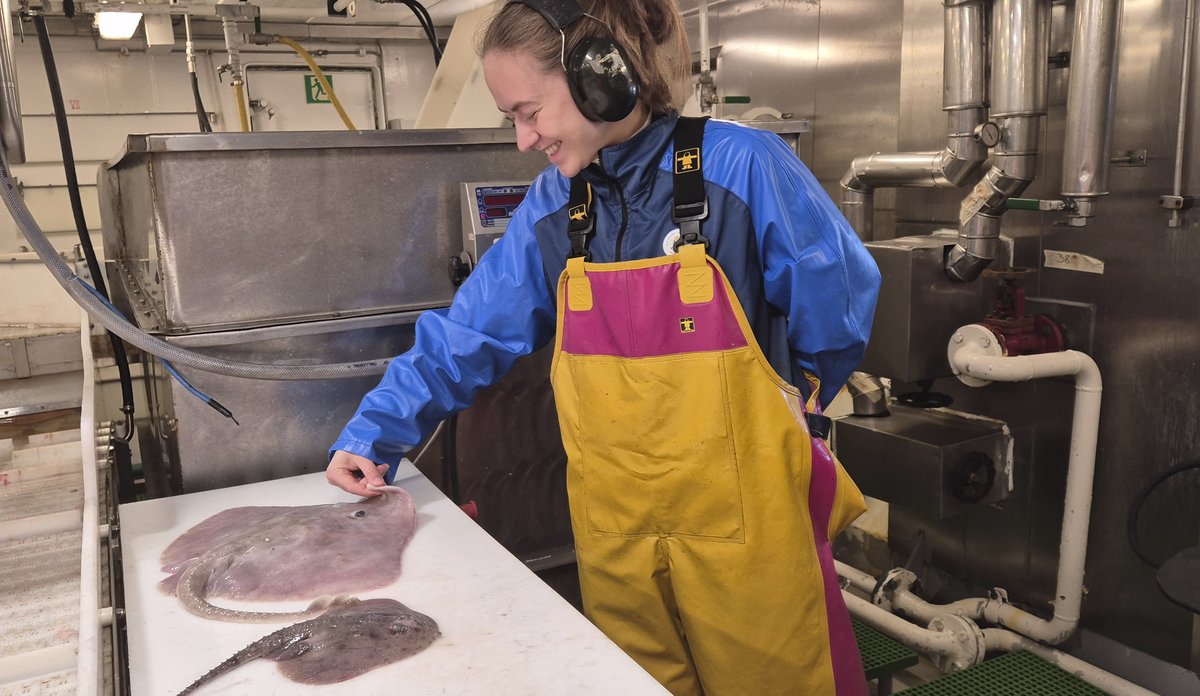en kvinne i arbeidskler bøyer snuten til en skate bakover