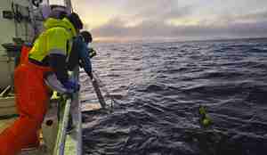 foto av menn som gjør seg klare til å ta opp teiner