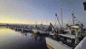 foto av sjarker i havn på rekke