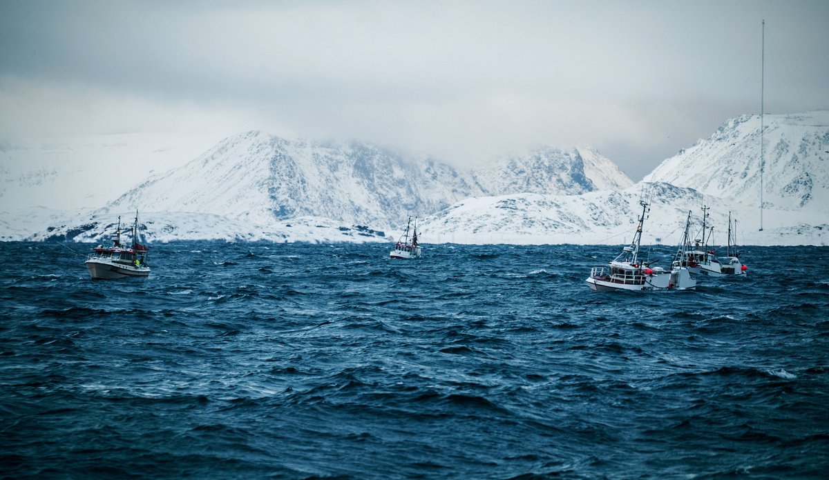 Sjarker utenfor Havøysund