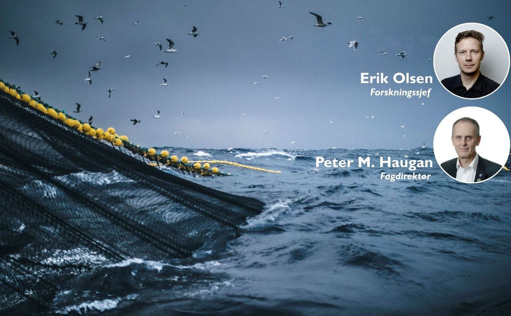 Et bilde av havet og fiske. Havet rommer mange utfordringer, men også mange løsninger.