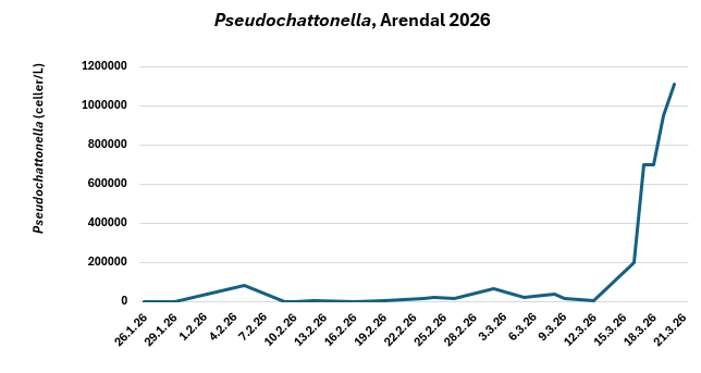 en kruve som viser at algemengden har øka