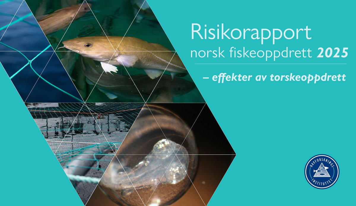 
Illustrasjonsfoto. Inneholder bilder av deler av en fisk, et fiskeegg og oppdrettsanlegg og sjø.