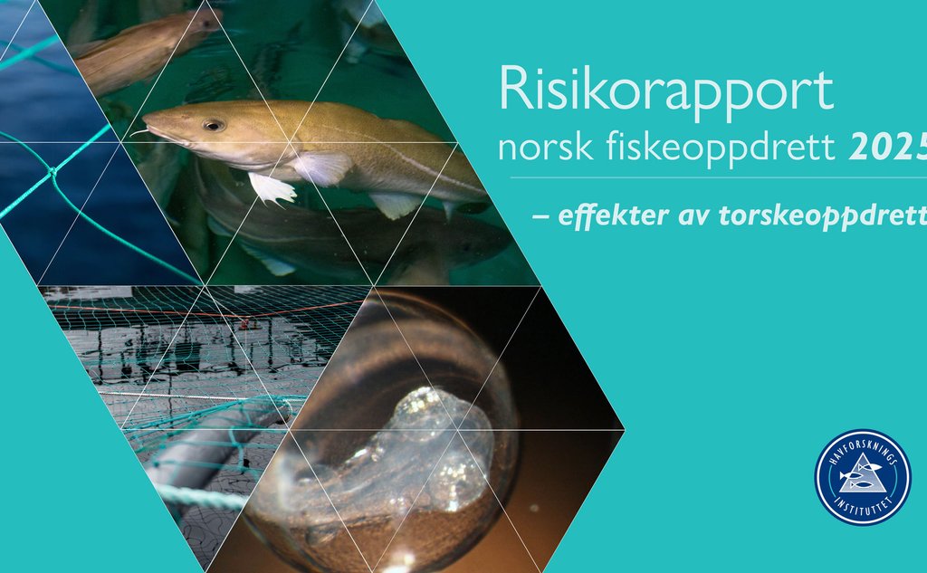Illustrasjonsfoto. Inneholder bilder av deler av en fisk, et fiskeegg og oppdrettsanlegg og sjø.