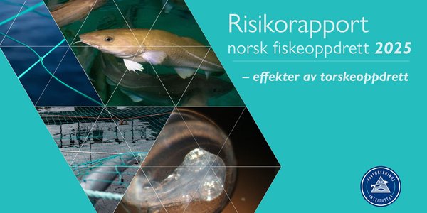 

Illustrasjonsfoto. Inneholder bilder av deler av en fisk, et fiskeegg og oppdrettsanlegg og sjø.