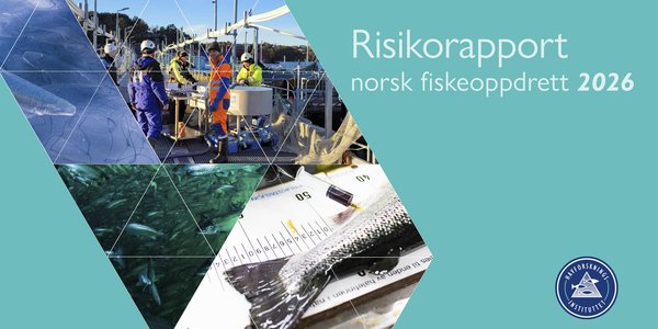 

Illustrasjonsbilde sammensatt av ulike bilder som viser oppdrettsanlegg, laks, mennesker som jobber og blodprøvetaking av fisk.