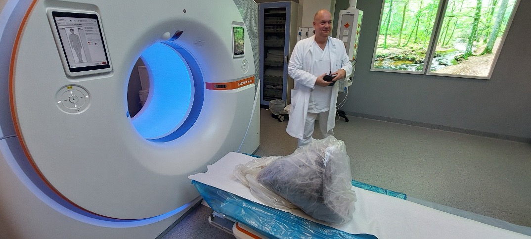 foto av stort fiskehode på vei inn i CT-maskin