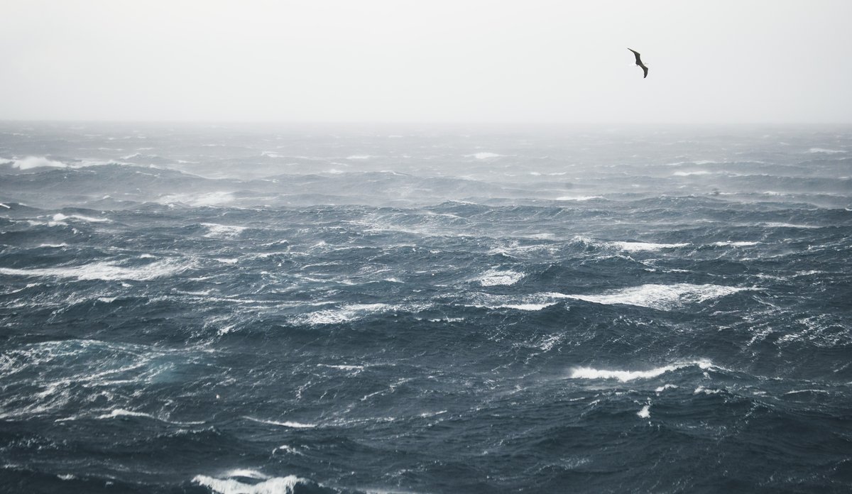 
Hvite, skummende bølger på havet og en sjøfugl som flyr over dem.