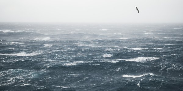Hvite, skummende bølger på havet og en sjøfugl som flyr over dem.