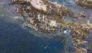 Foto fra høyden av skjær og øyer i brunt der det skimtes sel. Blått vann i forkant av bildet.