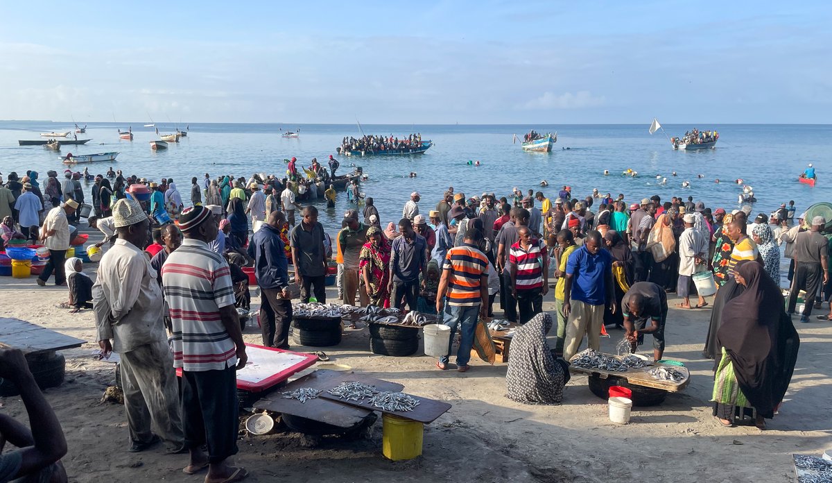 Fiskemarked Zanzibar