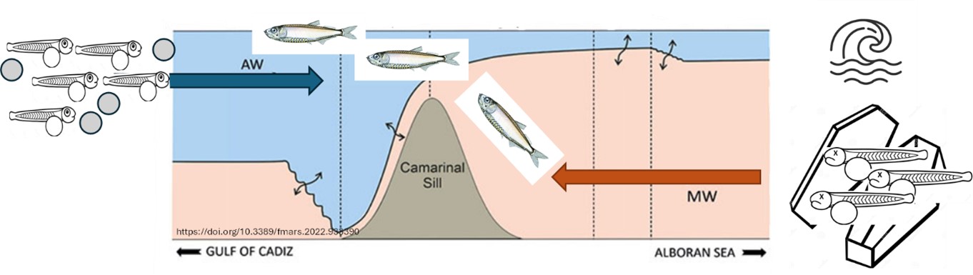 Grafisk fremstilling av hvordan Camarinalterskelen fungerer som portvokter inn mot Middelhavet
