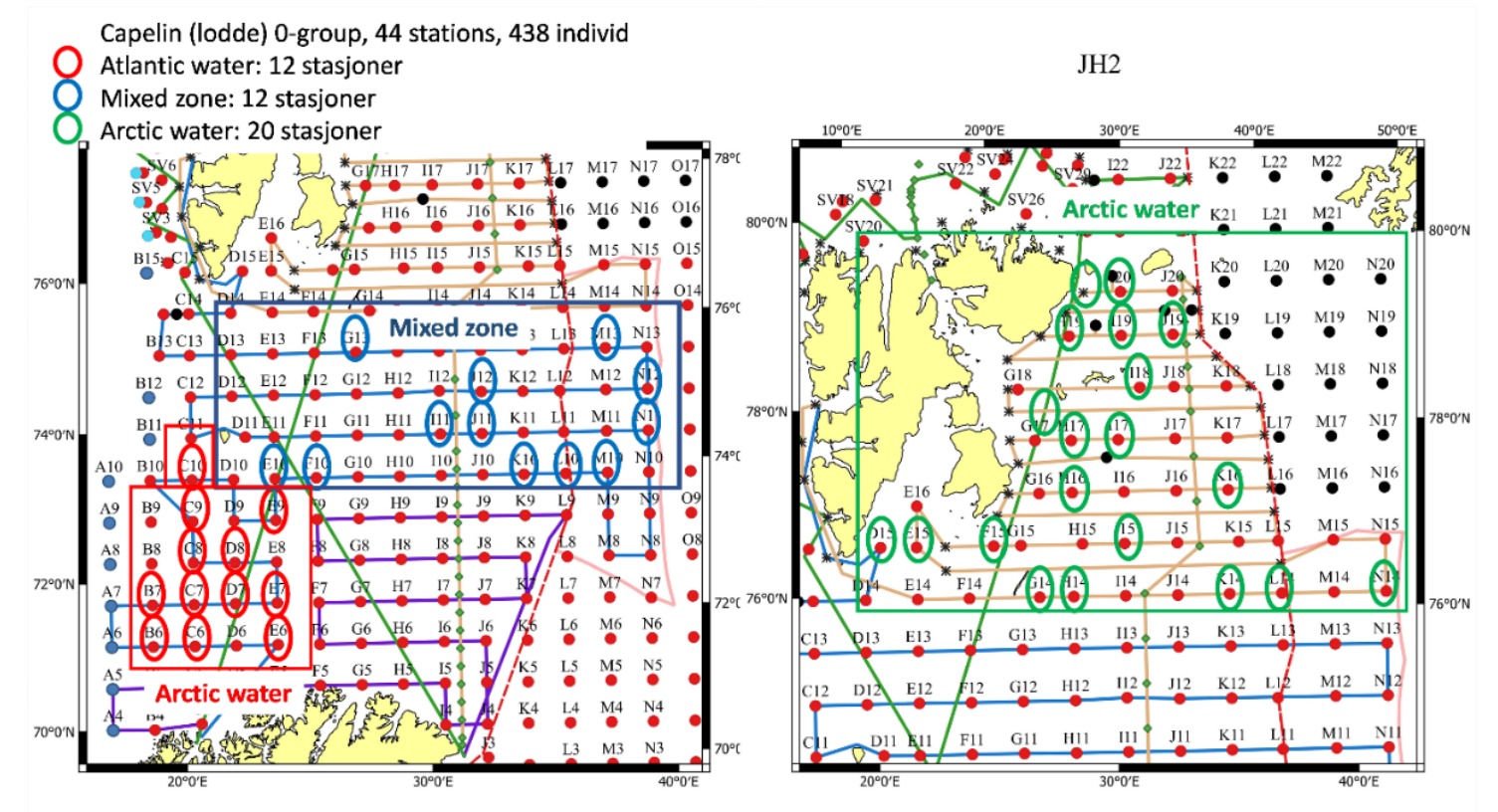 Stations sorted in rows and columns over the map