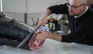 foto av mann som skjærer kotelett av gigantisk fisk