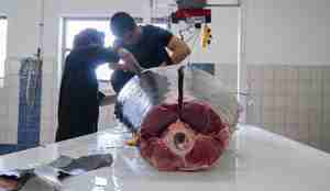 foto av to som skjærer ned en gigantisk fisk