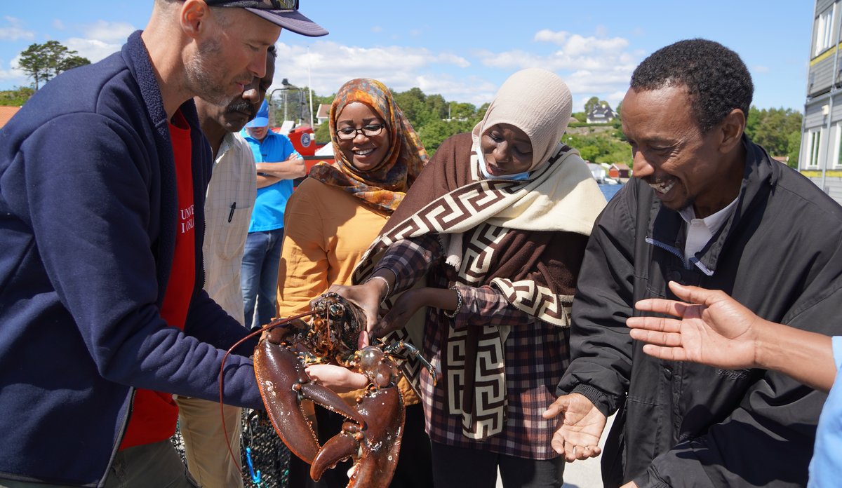 
Forsker Even Moland holder stor hannhummer i sollyset foran tre prosjektdeltakere fra Sudan.