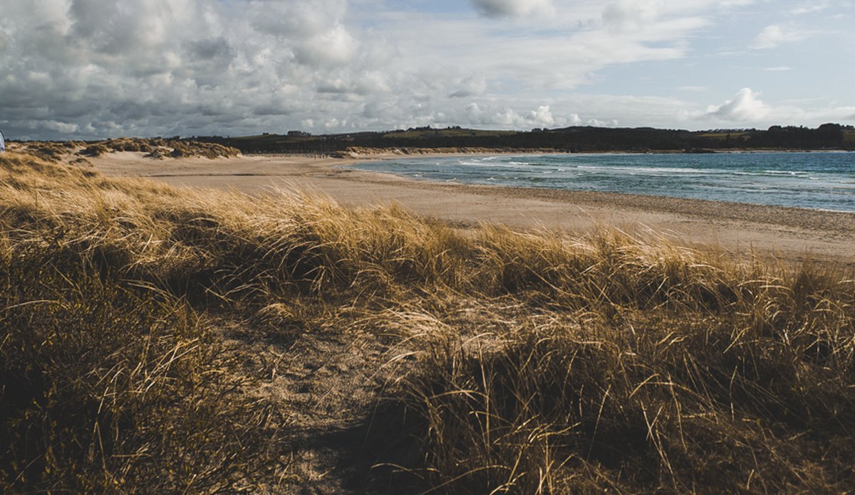 
Solastranden i sollys.