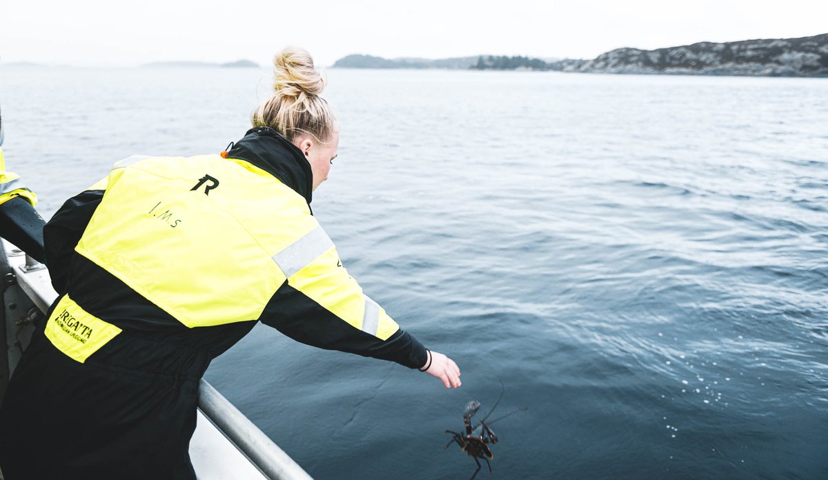 
Ung kvinne i kjeledress lener seg over rekka og slipper hummer ned i mørkeblå sjø