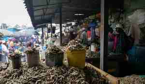 foto av fiskemarked i Afrika