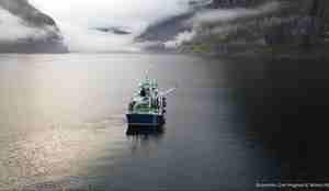 Bilde av forskningsskip på vei vekk fra fotografen og innover fjorden, som smalner bakover i bildet. Vi ser fjellsidene stige opp av fjorden og hvite skydotter i bakgrunnen.