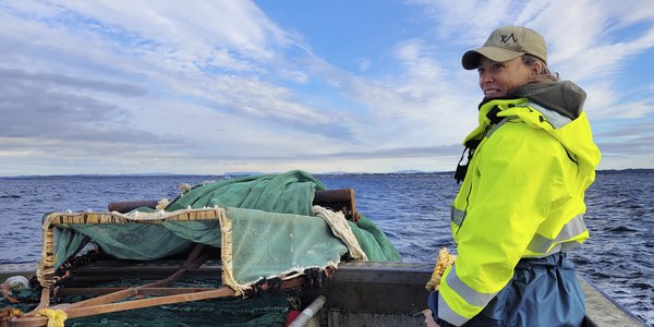 

Forsker på båt som fisker etter tobis