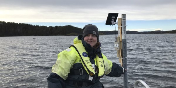 

Nattsyn-bilde som syner fleire steinkobber som kviler på eit skjær.