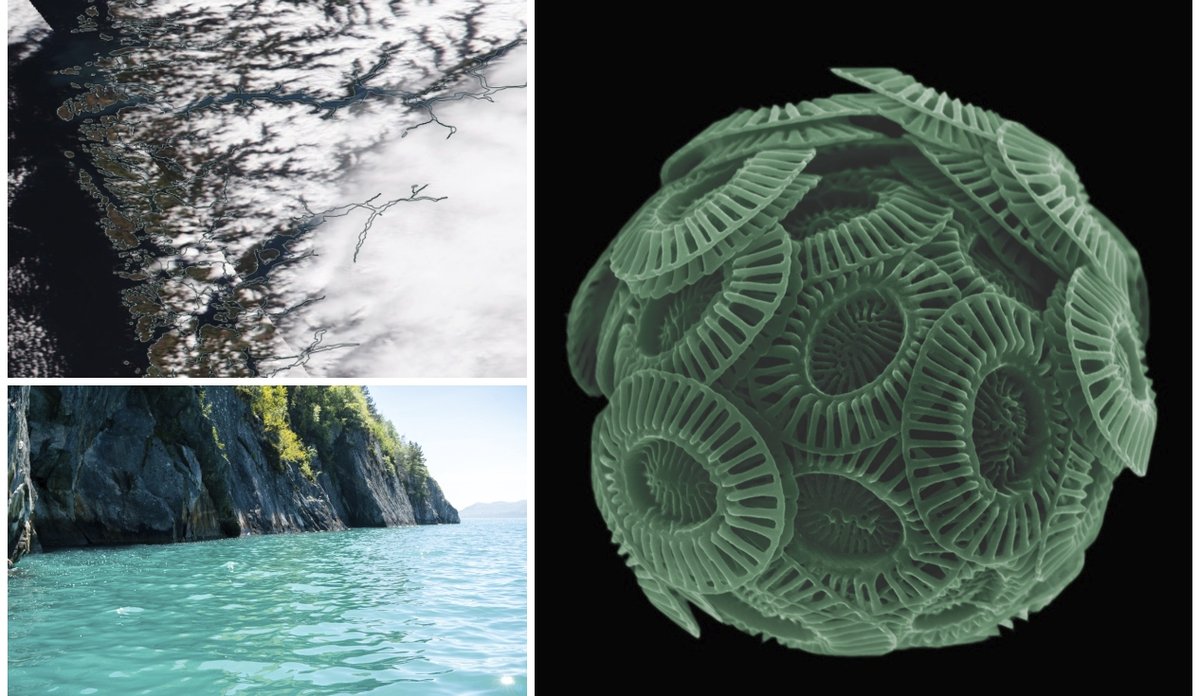 
Tre bilder sett saman. Eine bilete er eit kartutsnitt som viser vest-Noreg, det andre er syner vassoverflata av ein turkisfarga fjord og det tredje er eit mikroskopbilde av ein kalkalge.