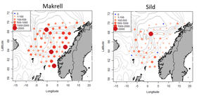 Figur 1_fordeling av makrell- og sildefangster
