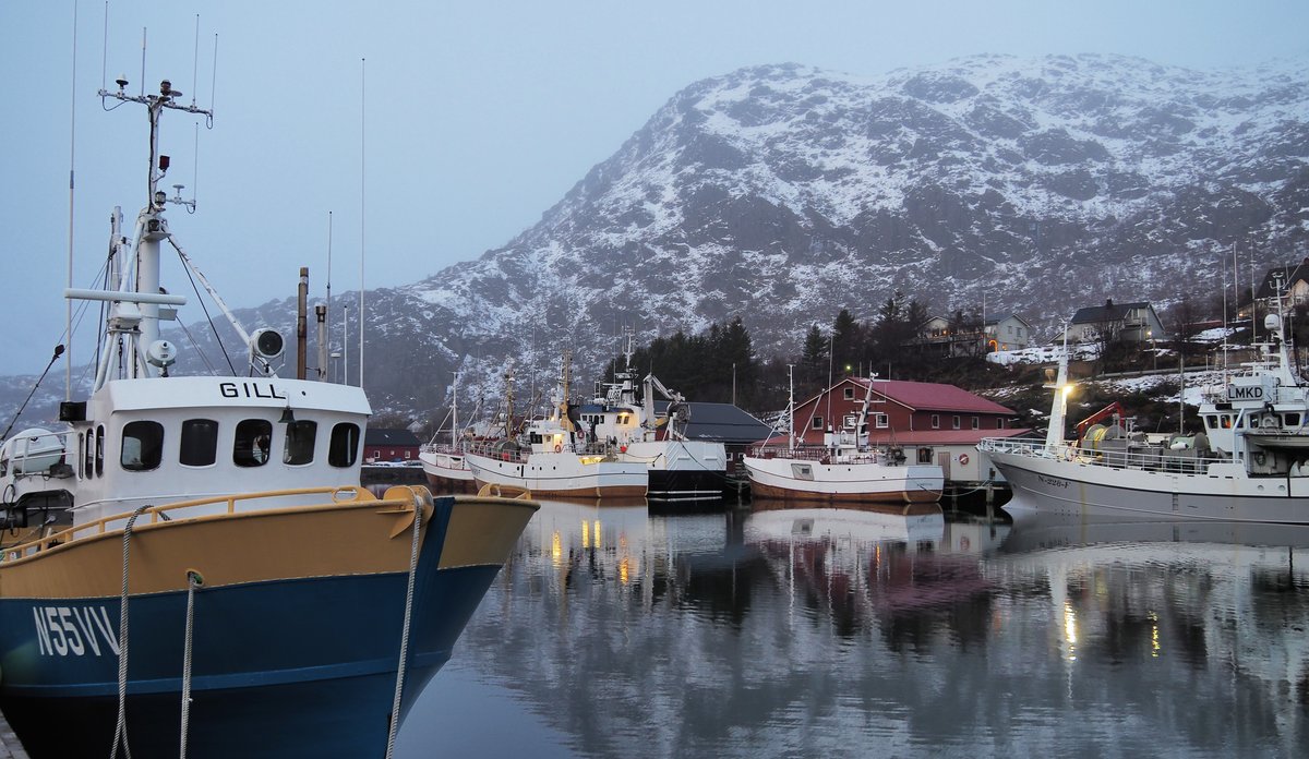 
fiskebåter liggende langs kaien, med snøkledd fjell i bakgrunnen