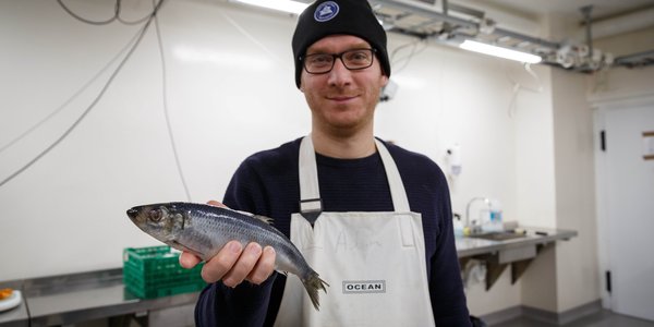 

Halvfigurportrett av en mann med hvitt forkle, briller og lue med logoen til Havforskningsinstituttet. Han står inne i et rom med hvite vegger og holder ei sild i hånda.