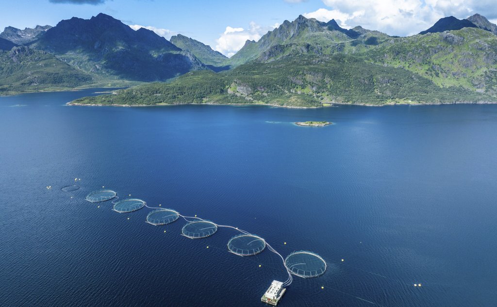 dronefoto av oppdrettsanlegg i nordnorsk fjord