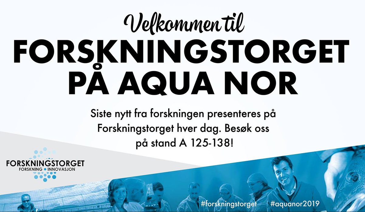 Forskningstorget hovedbilde.jpg