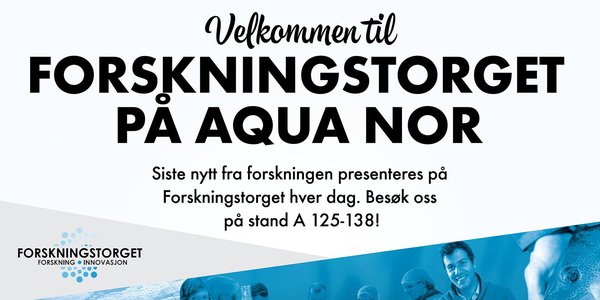 Forskningstorget hovedbilde.jpg