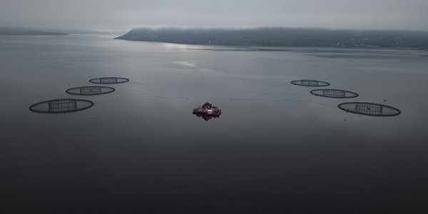 

Dronebilde av et oppdrettsanlegg