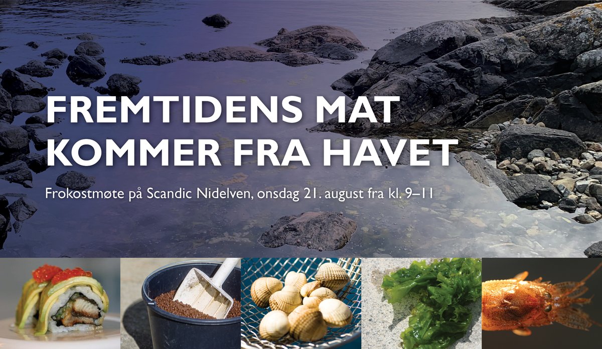 
Fremtidens mat kommer fra havet