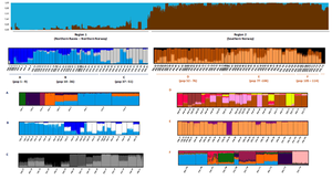 Genetic structure of 115 Norwegian salmon populations