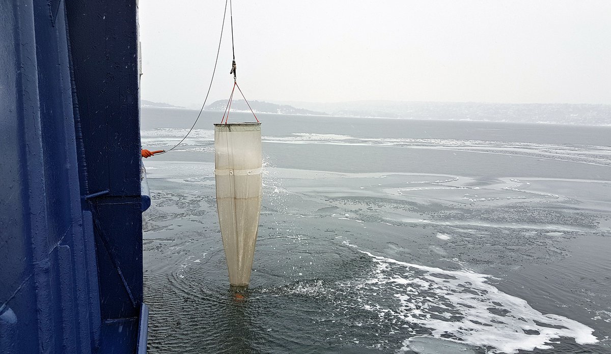 
Gytetokt i Oslofjorden redi