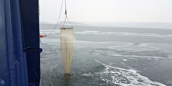 

Gytetokt i Oslofjorden redi