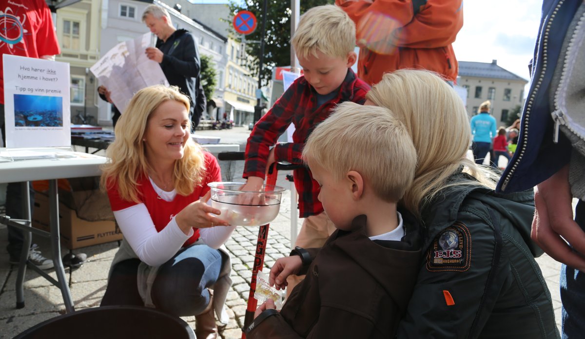 
foto av unger som putter hendene oppi akvariebolle på stand