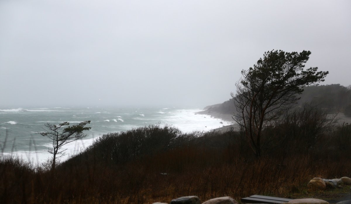 C:\Users\a22905\Documents\Klimastatus\HI-023277.jpg