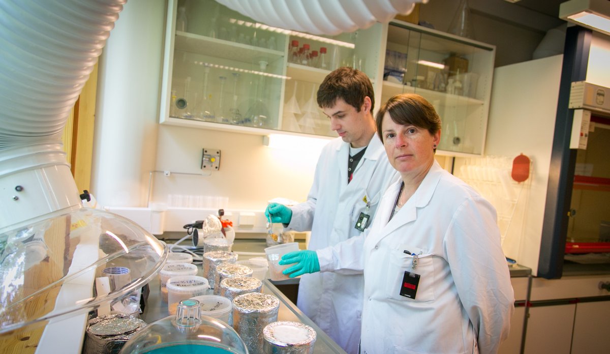 
Hilde Elise og Andrey i labfrakk med prøver av laks inne på labben