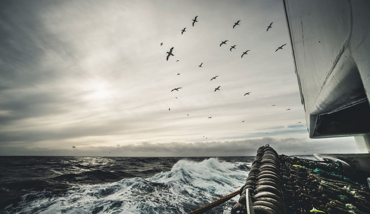 
På havet.