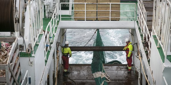 

Bilde fra et tråldekk, der to mannskap holder på å slippe ut trålen