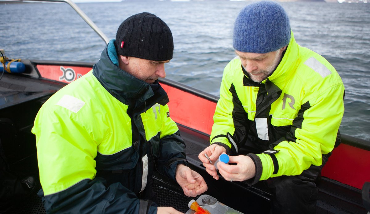 Forskere med spekkprøve