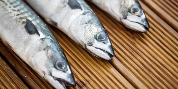 

Tre makreller ligger på brune treplanker